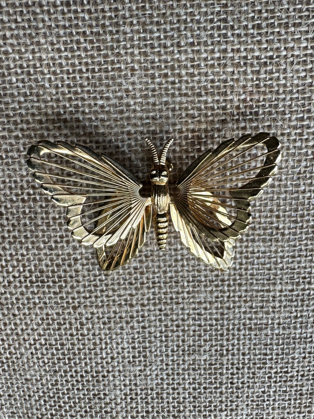 Vintage Money Butterfly Brooch Gold Tone